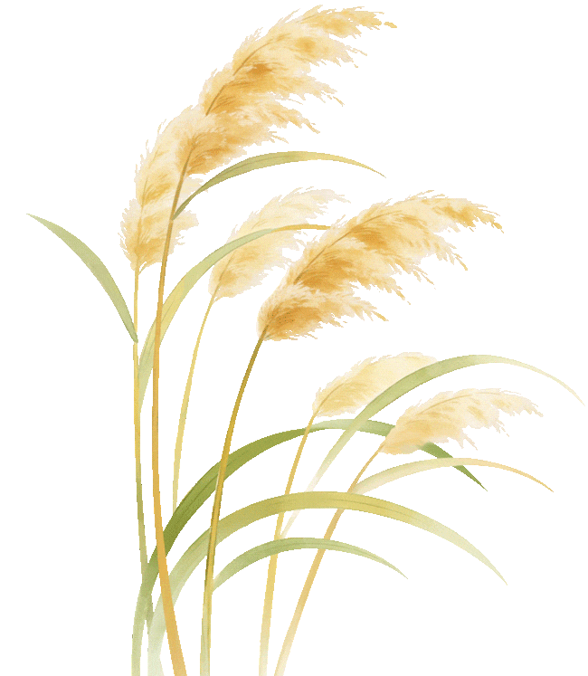 今日降水减弱，风力增大！
