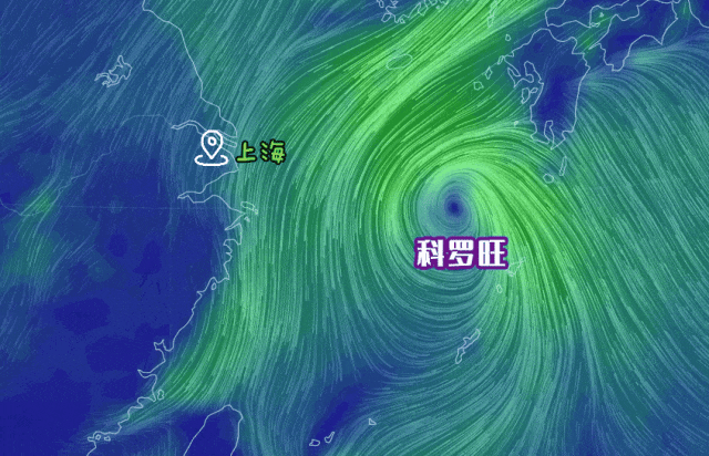 “科罗旺”回旋少动，上海雨水来去匆匆，风力较大→